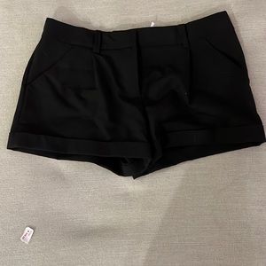 Max Studio Limited Edition Shorts